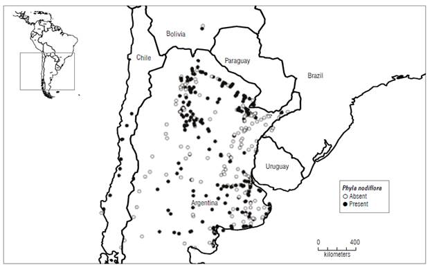 Biological Studies Of Puccinia Lantanae, A Potential Biocontrol Agent 