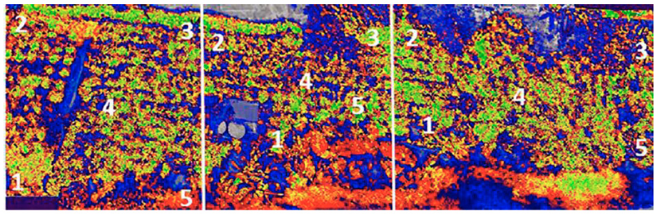 Processing Multispectral Imaging Captured By Drones To Evaluate The ...