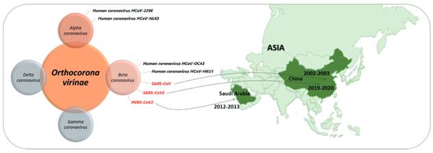 Una nueva zoonosis viral de preocupación global: COVID-19, enfermedad