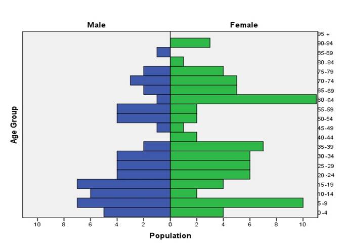 Social Determination Of The Health Of Families From Two Neighborhoods 