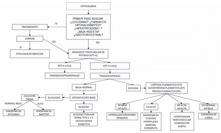 Hipokalemia de gradiente transtubular alto una propuesta práctica para