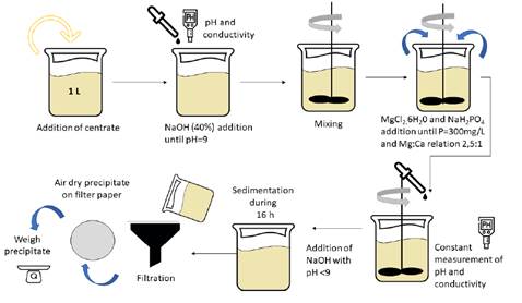 Effect Of The Stirring Speed On The Struvite Formation Using The 