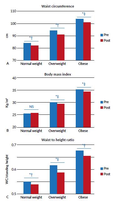Changes in anthropometric parameters and physical fitness in older ...