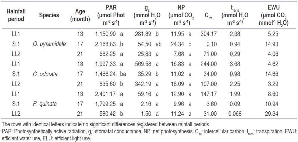 survival-growth-and-photosynthesis-analysis-of-native-forest-species