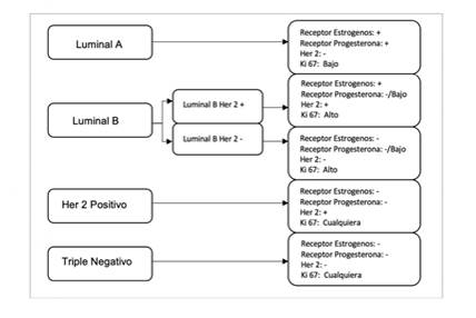 Predominio Del Subtipo Molecular Luminal B En Un Grupo De Mujeres Con