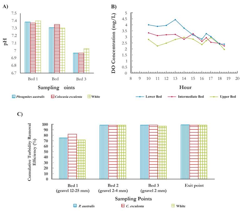 Effectiveness Of Vertical Subsurface Wetlands For Iron And Manganese ...